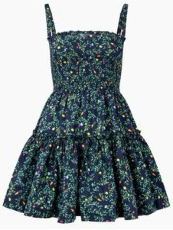 Hill House Dresses & Skirts - Hill House Mini Seraphina Nap Dress in Midnight Garden, XS